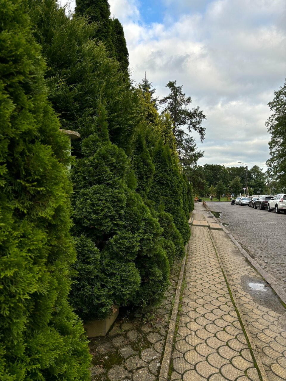 Гостиница Обертайх Люкс Калининград-165