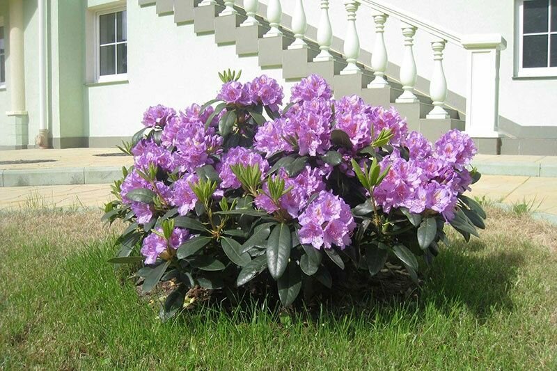 Гостиница Обертайх Люкс Калининград-17