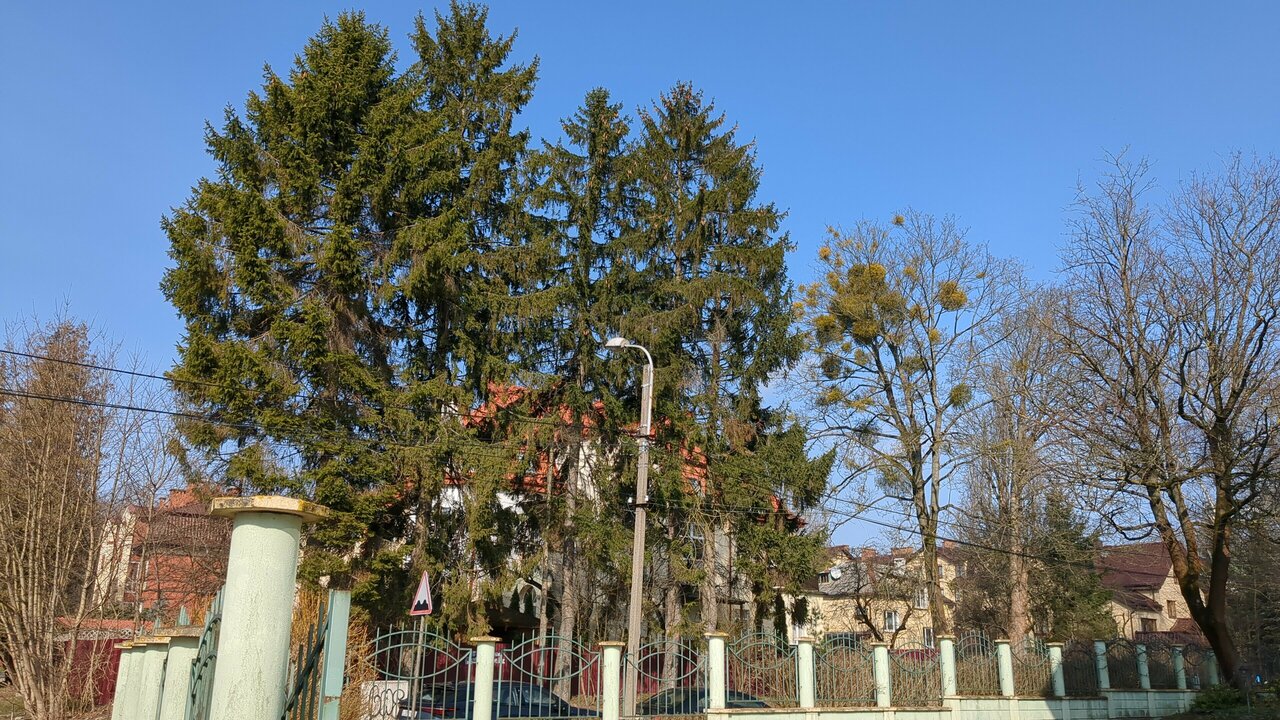 Гостиница Обертайх Люкс Калининград-168