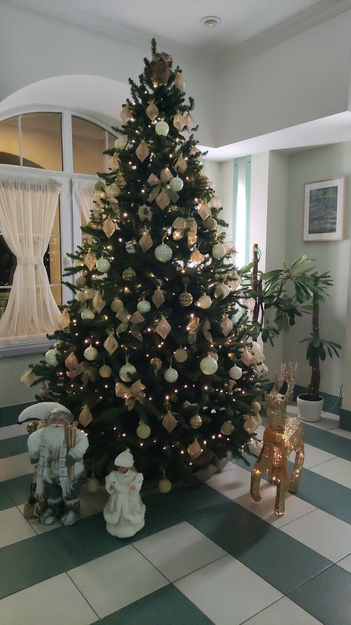 Гостиница Обертайх Люкс Калининград-110