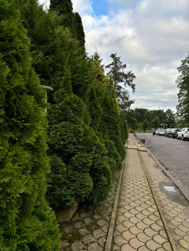 Гостиница Обертайх Люкс Калининград-164