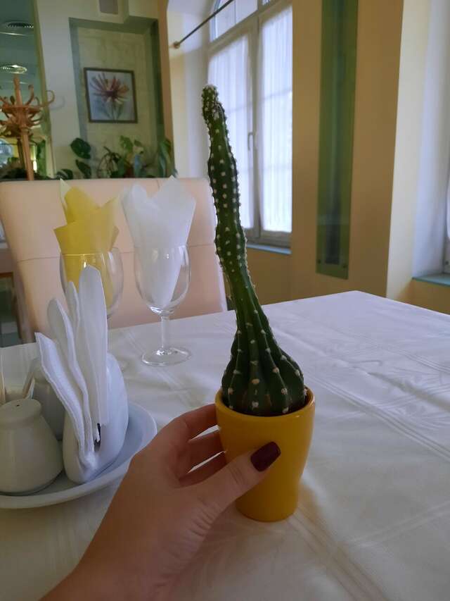 Гостиница Обертайх Люкс Калининград-141